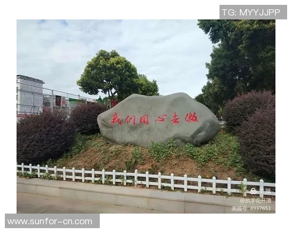 周静谈攀岩之路：从初心到巅峰的心路历程与成长故事